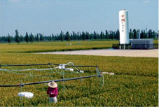 farmland eco-systems